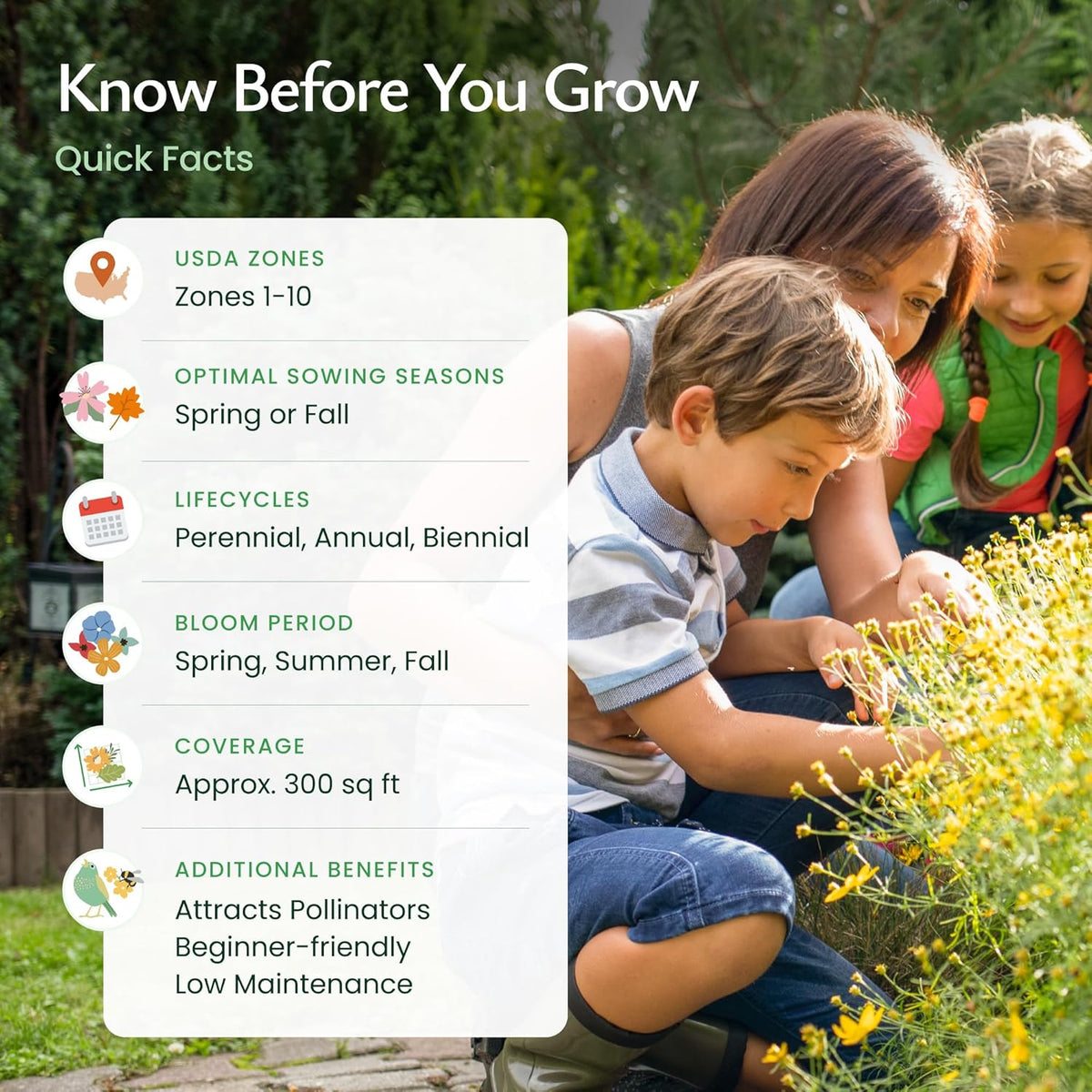 Created By Nature Tennessee Wildflower Seed Mix, 18 Flower Varieties, 35,000 Seeds