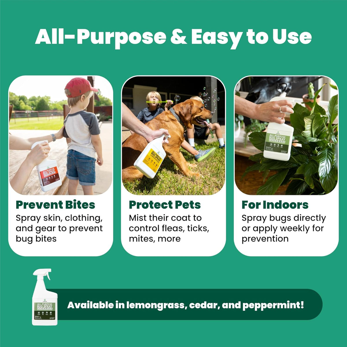 Cedarcide All-Purpose Bug Spray | Kill and Control Mosquitos, Fleas, Ticks, Ants | Made with