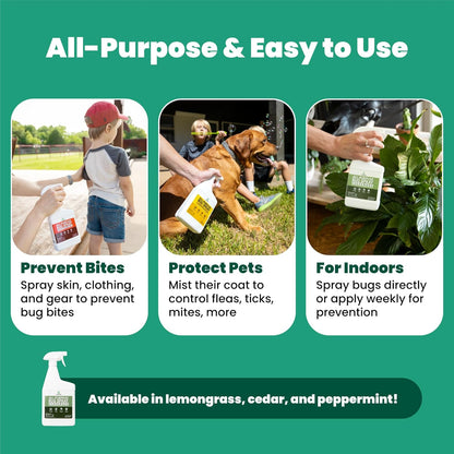 Cedarcide All-Purpose Bug Spray | Kill and Control Mosquitos, Fleas, Ticks, Ants | Made with