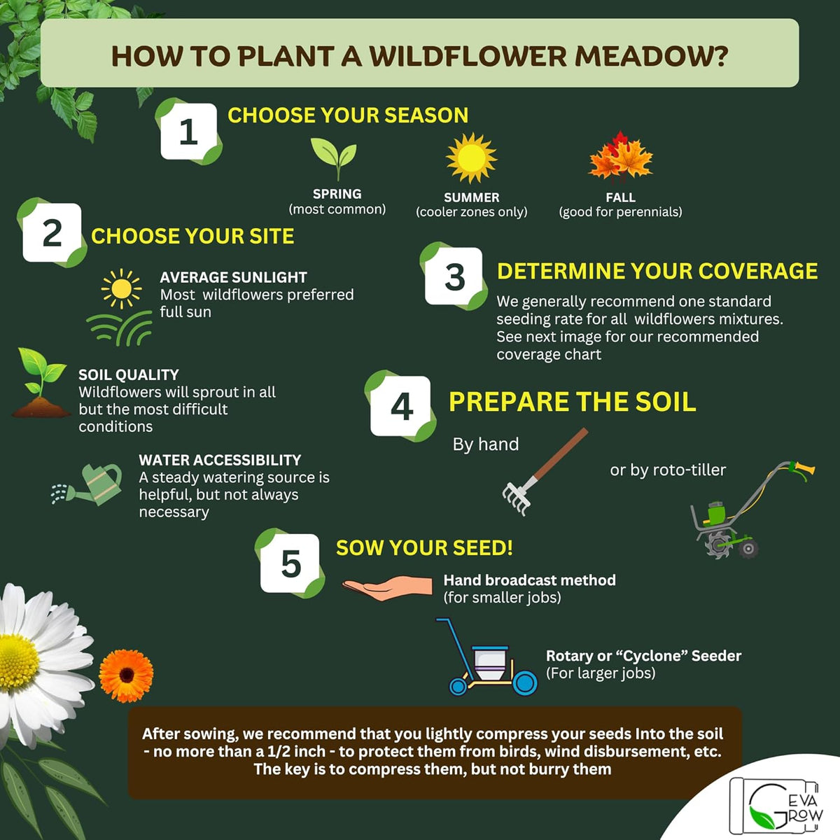 Wildflower Seed Shaker – Awesome Annual Mix by GevaGrow - 2 Ounce Shaker