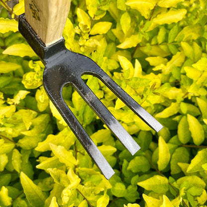 14 inch Japanese Hand Tiller/Rake for Garden, 3-tines Cultivator, Without Welding, Oak Handle, for