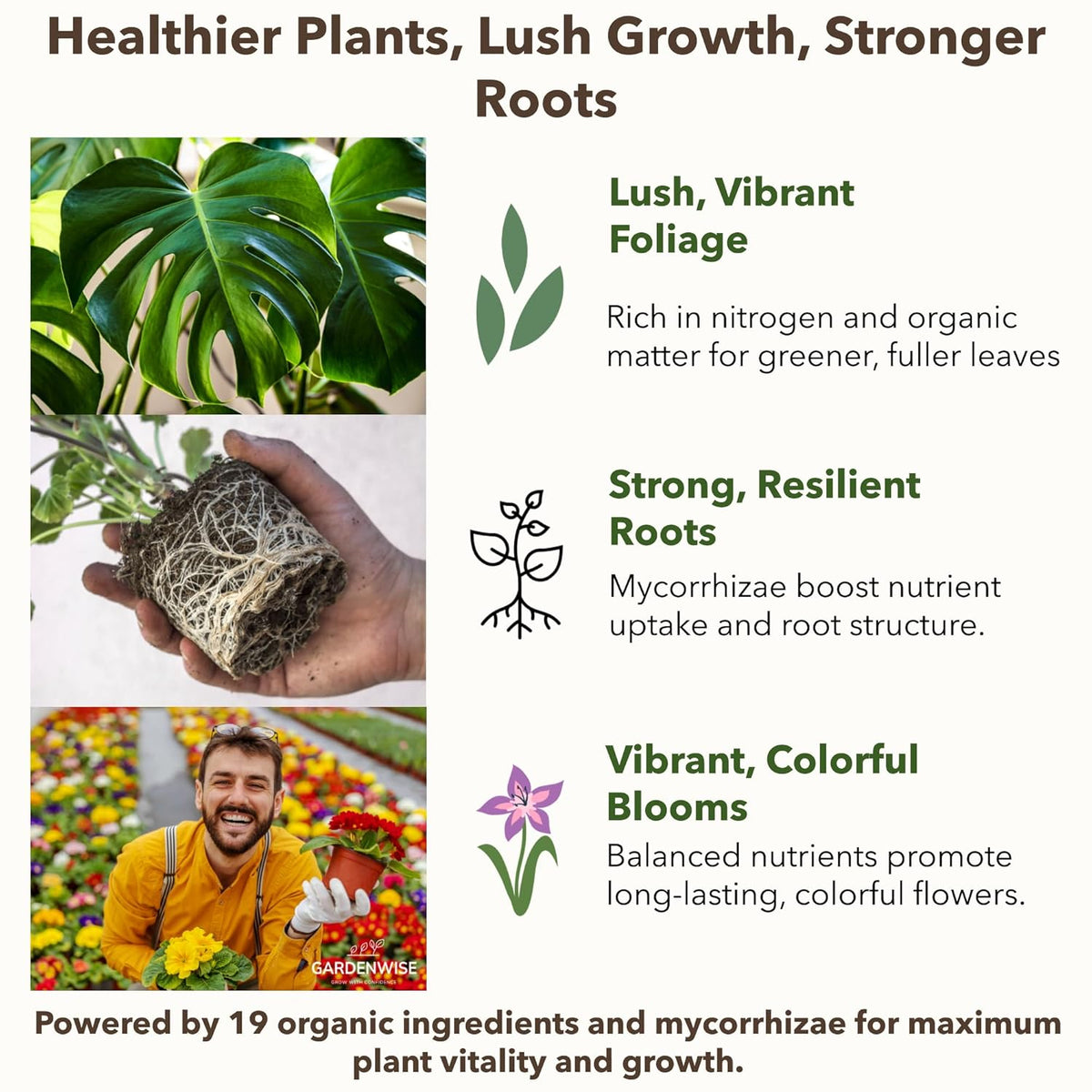 Organic Liquid Plant Food for Indoor Houseplants – All Purpose Fertilizer for Potted Plants
