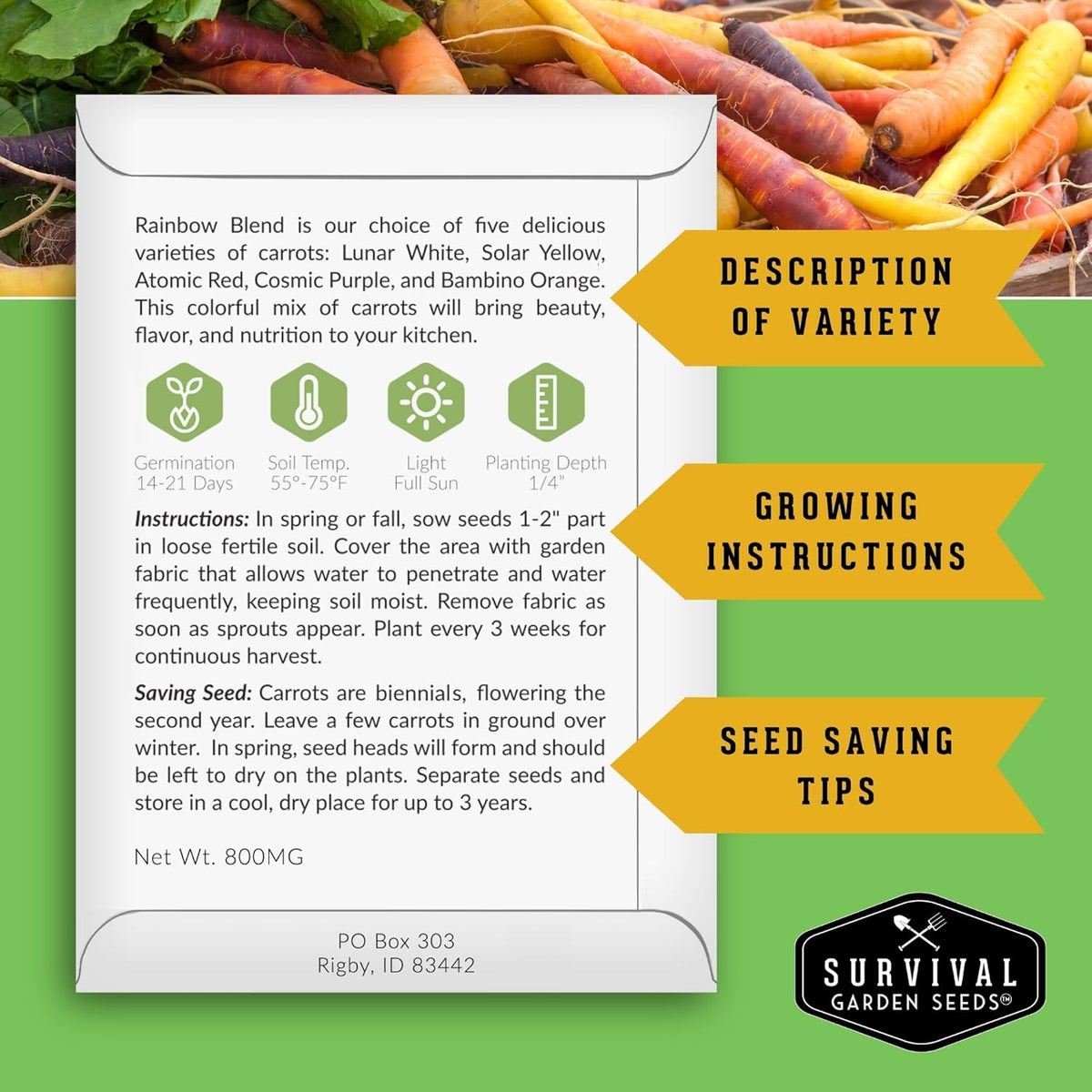Fall & Winter Vegetable Seed Collection – 8 Packs of Non-GMO Heirloom Seeds for Planting Vegetables