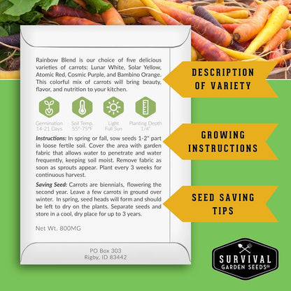 Fall & Winter Vegetable Seed Collection – 8 Packs of Non-GMO Heirloom Seeds for Planting Vegetables