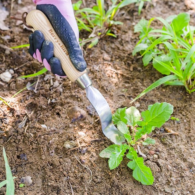 Berry&Bird Hand Weeder Tool, Stainless Steel Gardening Weed Puller, 12.1" Manual Weeding Removal