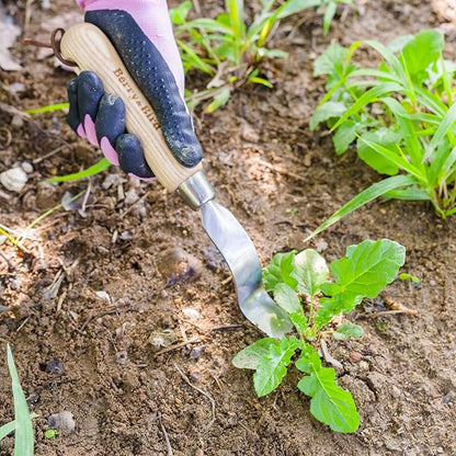 Berry&Bird Hand Weeder Tool, Stainless Steel Gardening Weed Puller, 12.1" Manual Weeding Removal