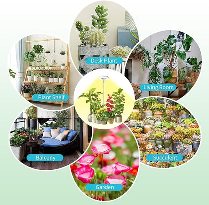 Halo Ring Grow Lights for Small Indoor Plants, Warm+White 48LEDs Full Spectrum Plant Light, Height