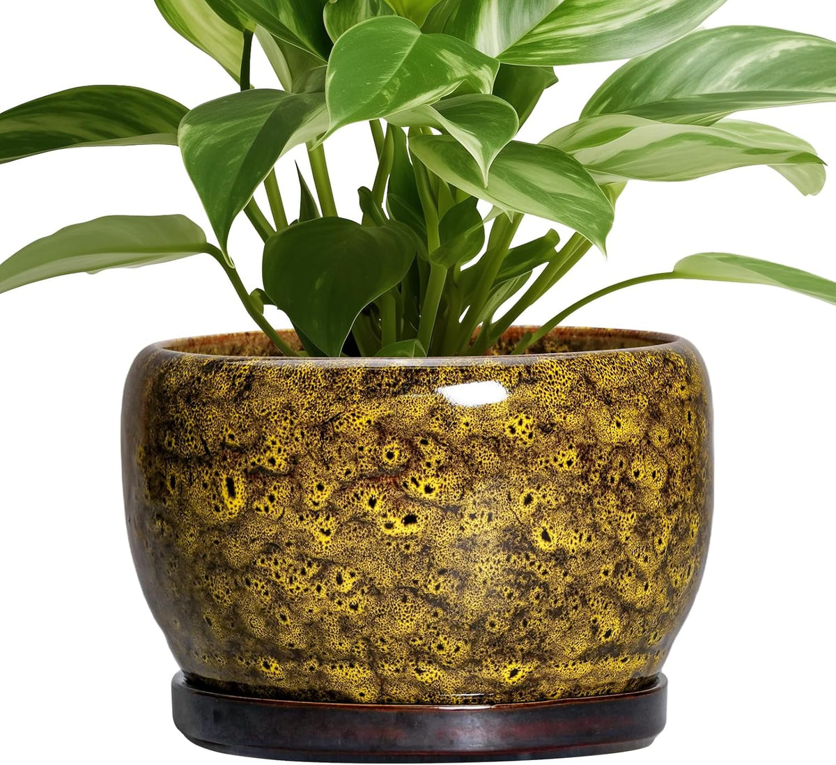 SQOWL Ceramic Flower Pots - 8 inch Ceramic Planter for Indoor Plants, Decorative Plant Pots with