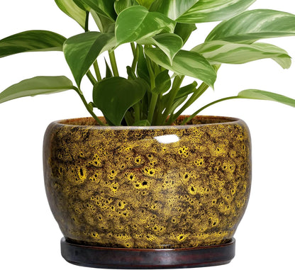 SQOWL Ceramic Flower Pots - 8 inch Ceramic Planter for Indoor Plants, Decorative Plant Pots with