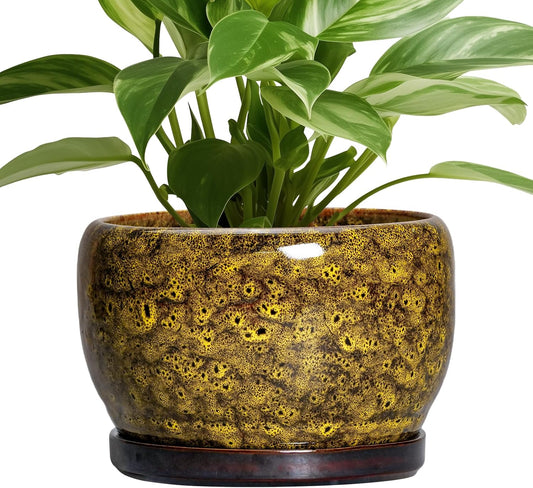 SQOWL Ceramic Flower Pots - 8 inch Ceramic Planter for Indoor Plants, Decorative Plant Pots with