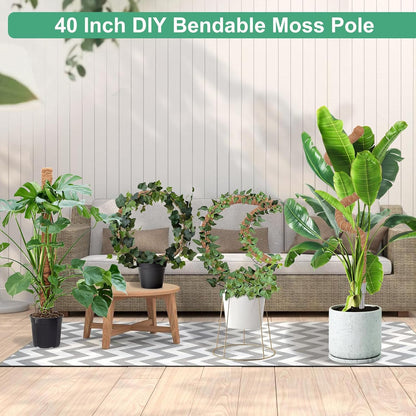 2 Pack Moss Pole, 40 Inch Monstera Plant Support, Moss Poles for Climbing Plants Indoor DIY, Coco