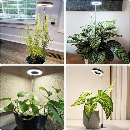 48 LEDs Full Spectrum Grow Lights for Indoor Plants, Height Adjustable, Small Black Halo Plant