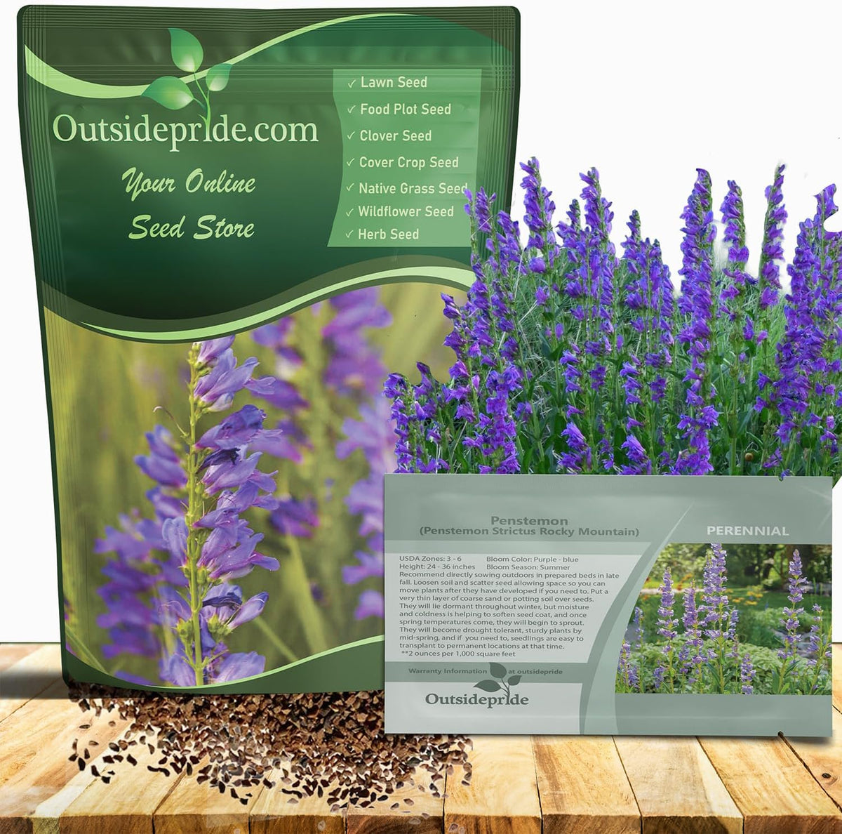Outsidepride Penstemon Seeds - 5000 Pcs Perennial, Drought-Tolerant & Pollinator Friendly, Strictus