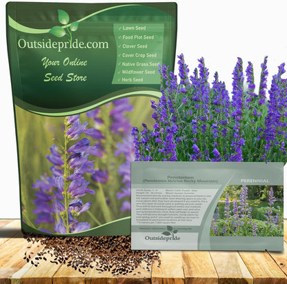 Outsidepride Penstemon Seeds - 1/4 Lb. Perennial, Drought-Tolerant & Pollinator Friendly, Strictus