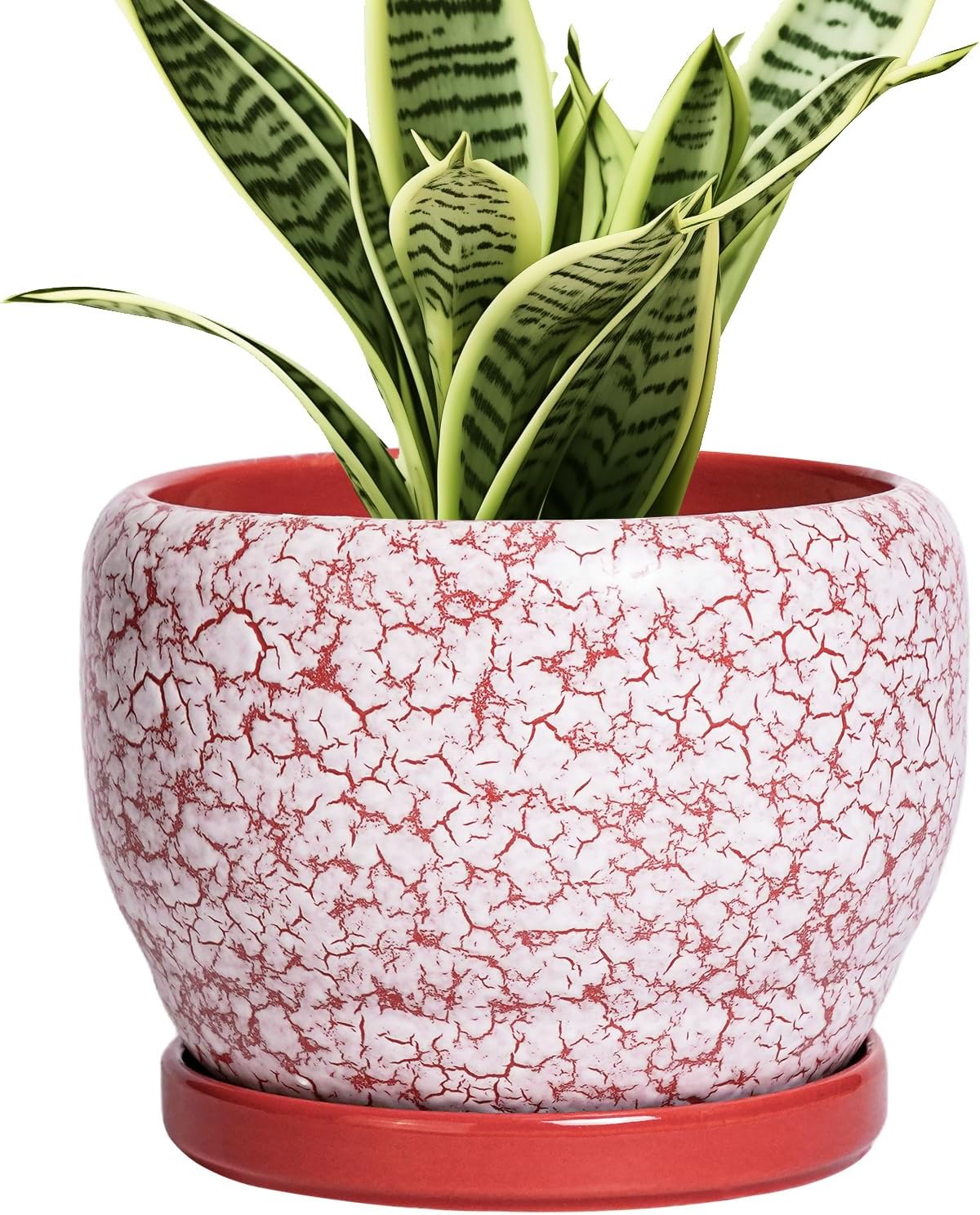 SQOWL 6 Inch Plant Pot - Ceramic Planter for Indoor Outdoor, Round Decorative Plant Pot with