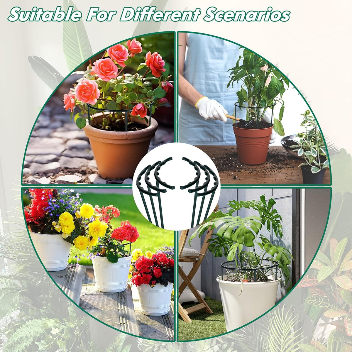 10 Pack Plant Support Plant Stakes Metal Half Round Search Support Ring Small Plastic Cage Holder