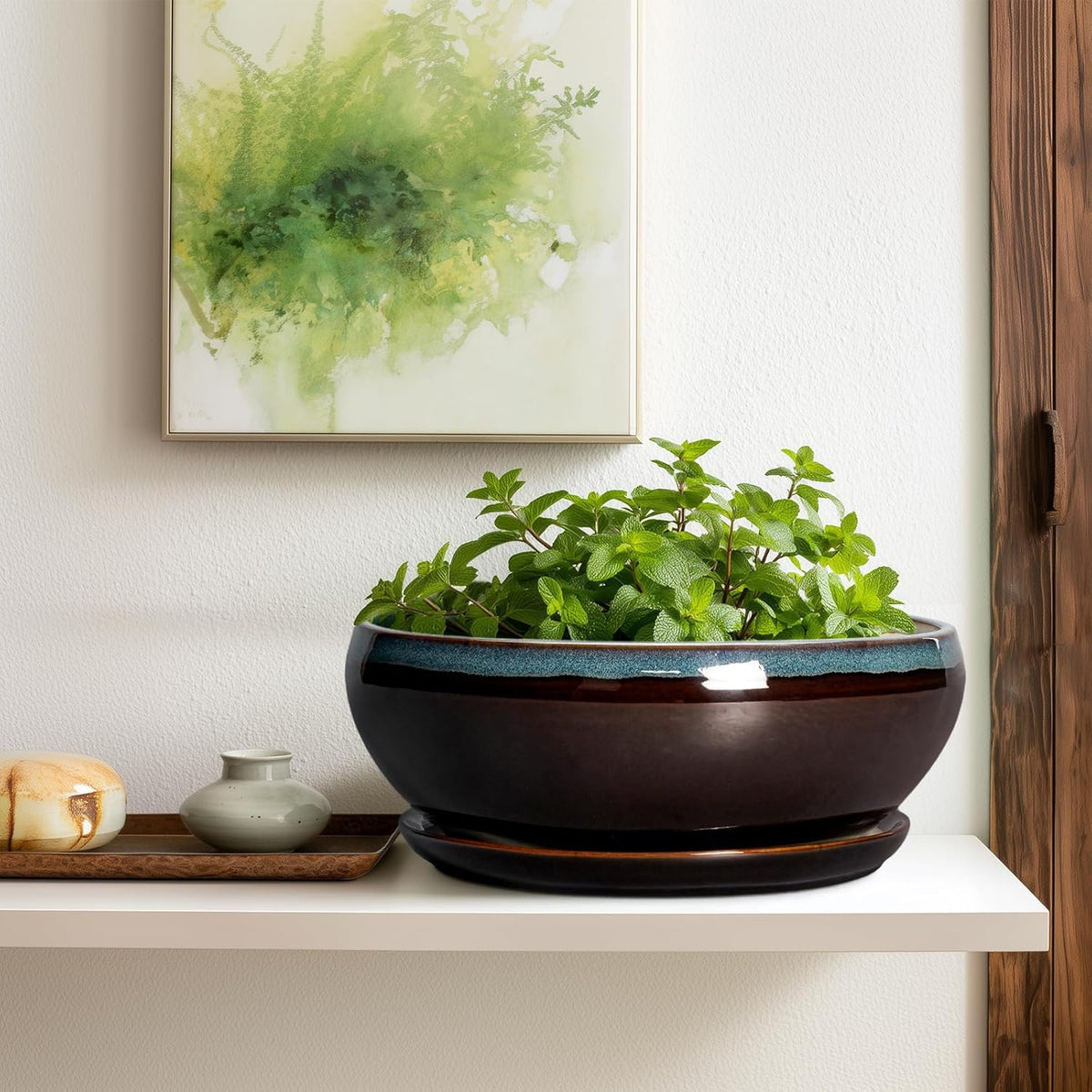 SQOWL Bonsai Planter 12 Inch - Ceramic Succulent Pots Large, Round Shallow Plant Pots Indoor with