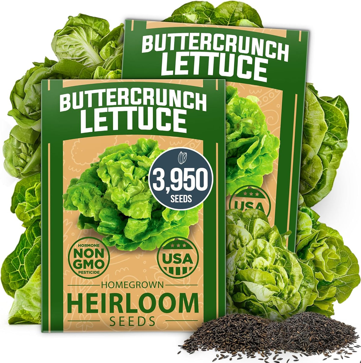 HOME GROWN Buttercrunch Lettuce Seed Pack - 3950 𝗡𝗢𝗡-𝗚𝗠𝗢 𝗨𝗦𝗔 Vegetable Seeds - Ideal Seeds