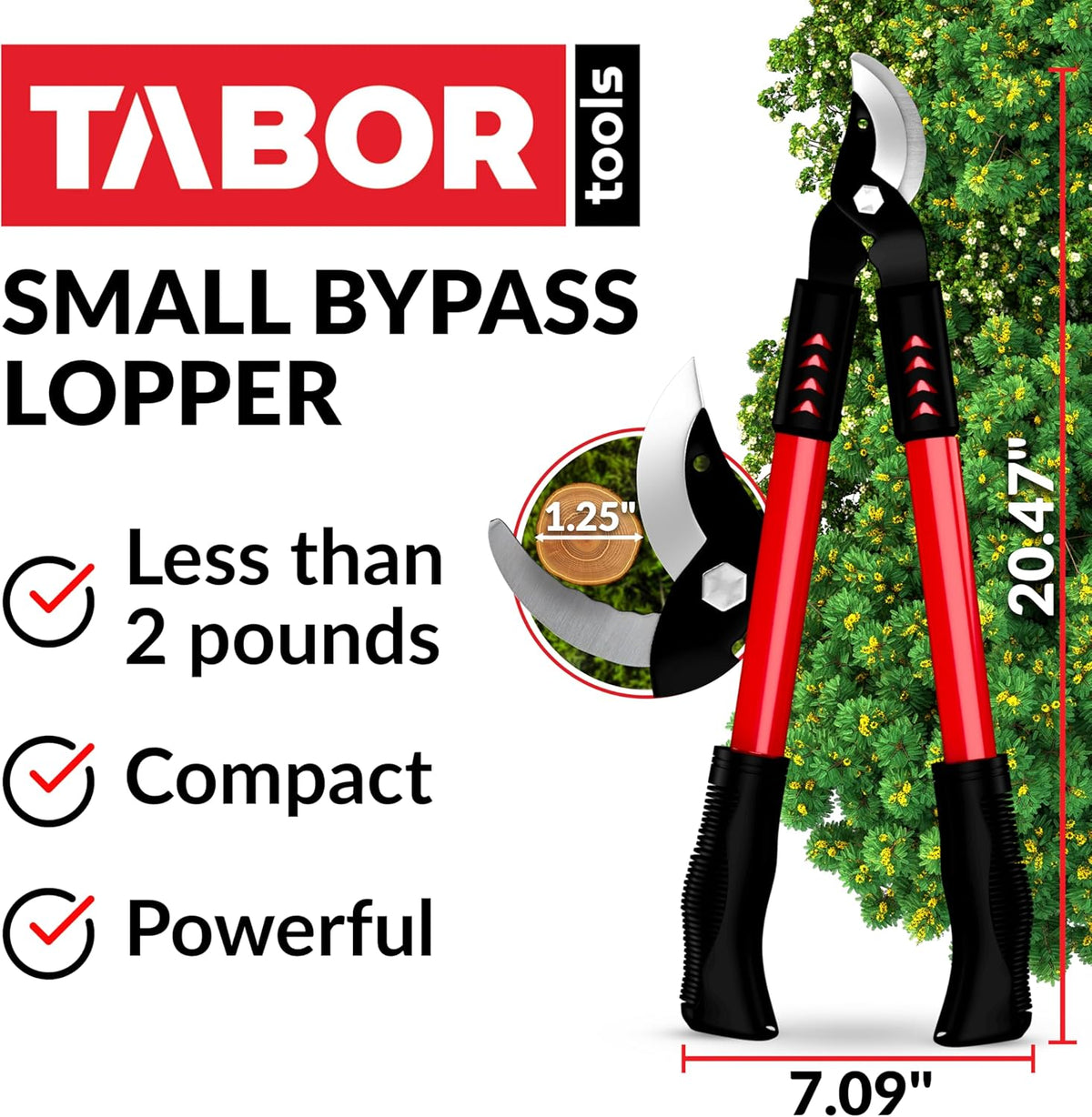 TABOR TOOLS GL18A Small Bypass Lopper, Short Bypass Tree Trimmer, Chops Branches with Ease, Branch