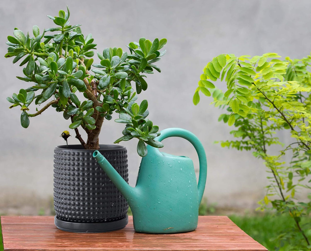 D'vine Dev 6 Inch Ceramic Beaded Stoneware Planter Pot - Flower Pot with Drainage Holes and Saucers