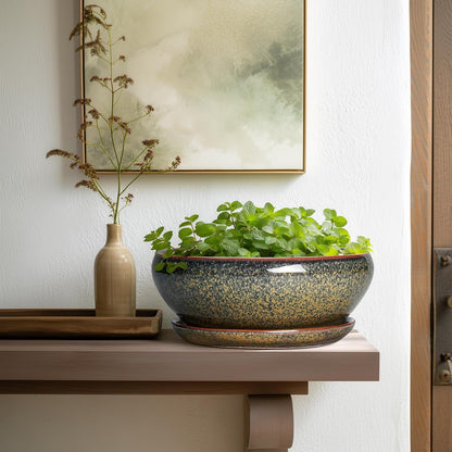 SQOWL Bonsai Planter - 10 Inch Ceramic Succulent Pots, Shallow Plant Pot Indoor with Drainage Hole