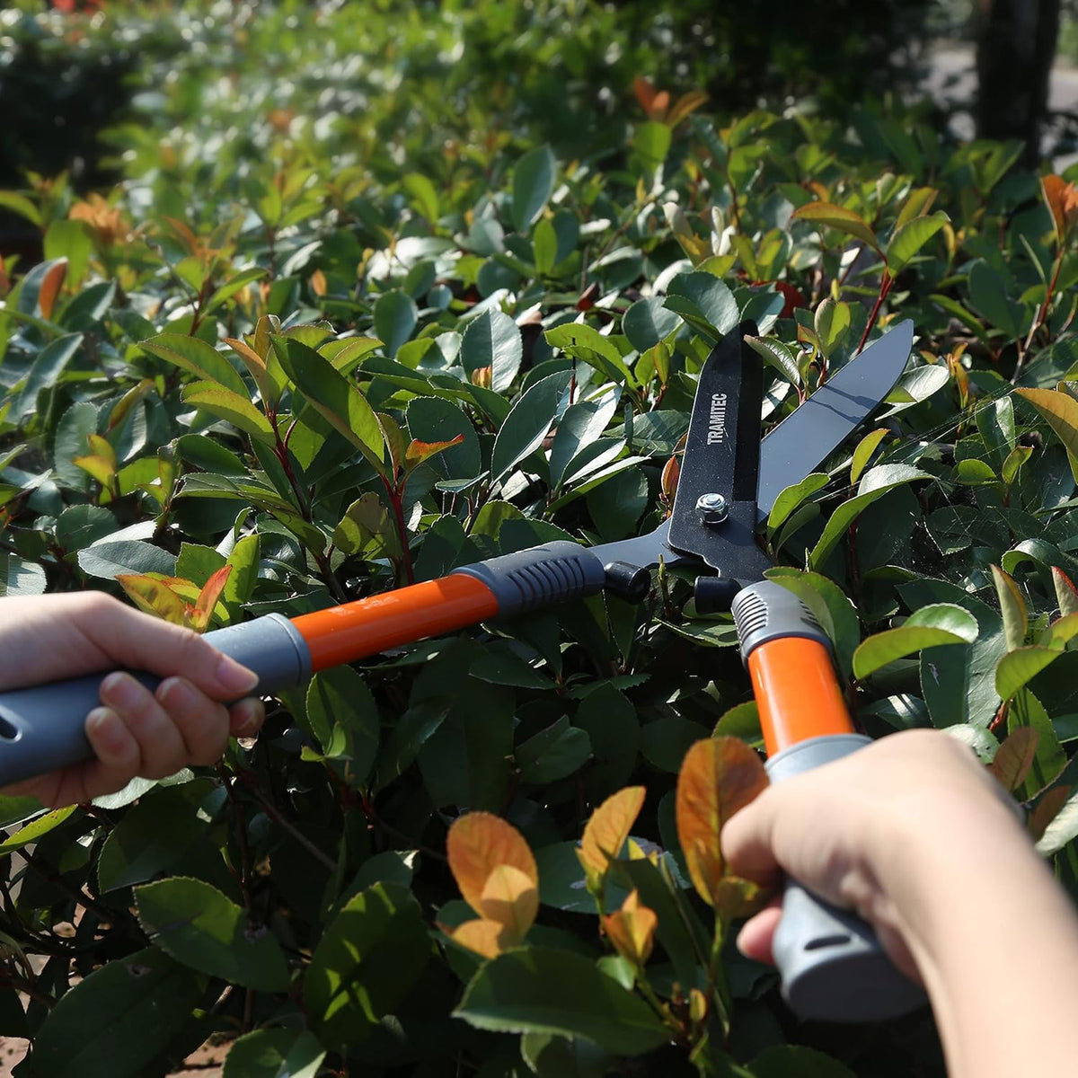 Garden Hedge Shears, Manual hedge Clippers for Shaping Shrubs and Trimming Bushes. Hedge Clippers &