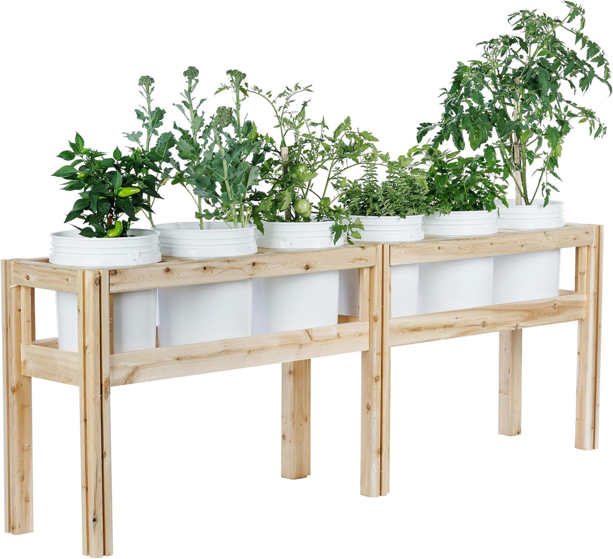 Greenes Fence Six Bucket Elevated Cedar Wood Garden Frame, 84 in. x 16 in. x 30 in. - Made in USA