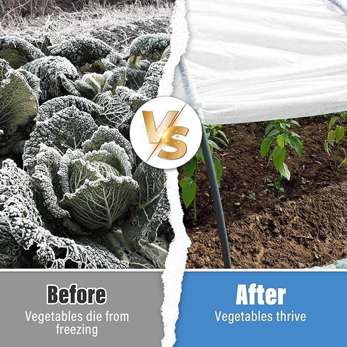 Legigo 12 X 26 Ft Clear Plastic Plant Covers Freeze Protection- 6 Mil Winter Greenhouse Plastic
