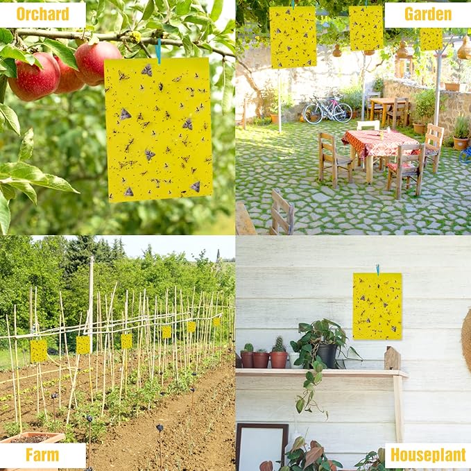 30 Pack Yellow Sticky Traps Fruit Fly Trap, Double-Sided Fungus Gnat Trap Insects Pest Killer for