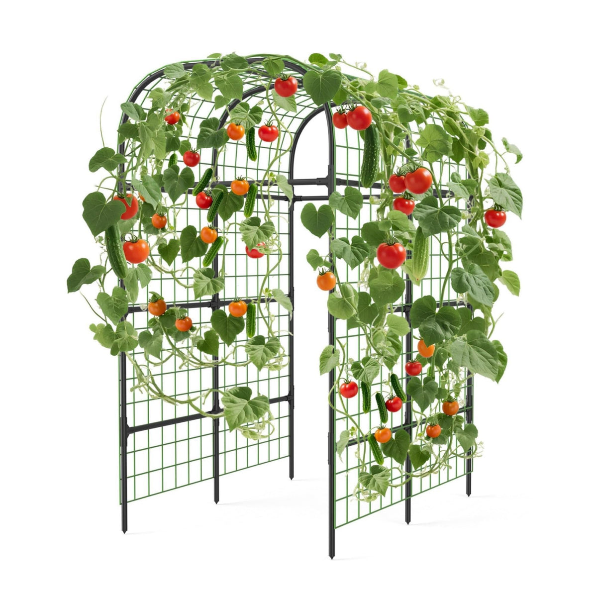 Metal Garden Arch Trellis, 7.3Ft Black for Raised Beds, Plant Support for Cucumbers & Climbing