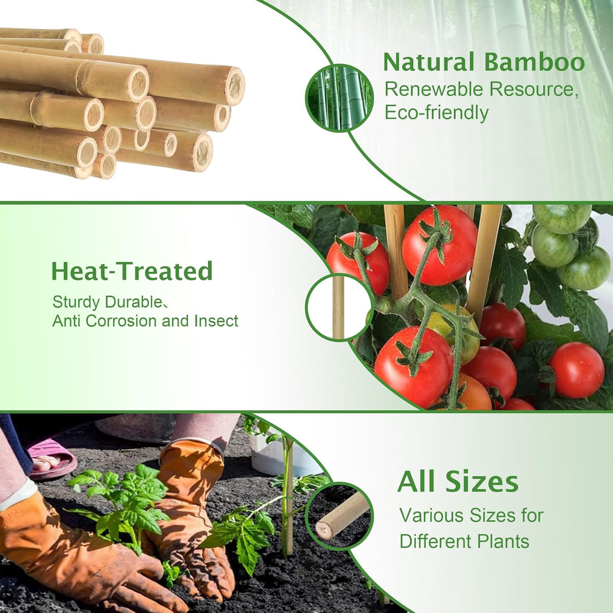 Bamboo Stakes 8FT, 8 Feet Natural Bamboo Plants Stakes, 1" D Thicker Heavy Duty Garden Stakes 10