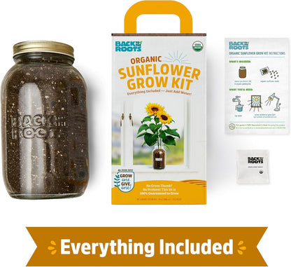Back to the Roots Sunflower Organic Windowsill Planter Kit - Grows Year Round, Includes Everything