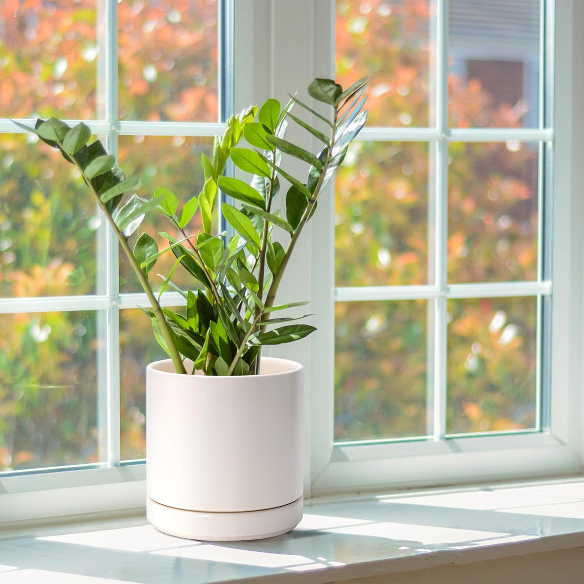 D'vine Dev Set of 2 Plants Pots, 6.5 Inch Ceramic Planter Pot for Plants with Drainage Hole and