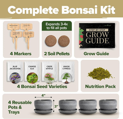 HOME GROWN Bonsai Tree Kit – Grow 4 Bonsai Types Indoors with Complete Starter Kit Including Pots