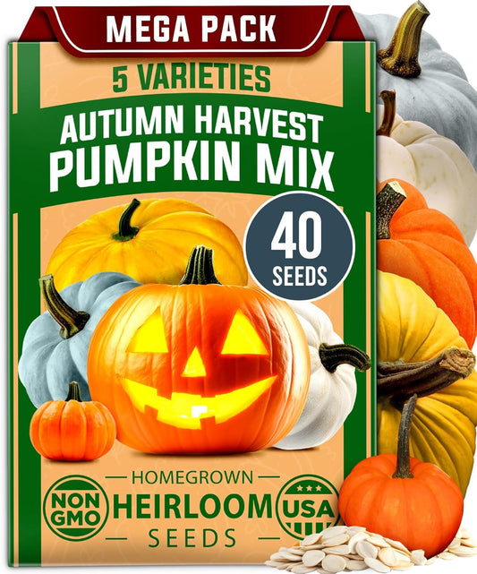 HOME GROWN 𝗨𝗦𝗔 𝗣𝗥𝗘𝗠𝗜𝗨𝗠 5 Pumpkin Seeds Mix - 40 Seeds 𝗡𝗢𝗡-𝗚𝗠𝗢 Heirloom Pumpkin for