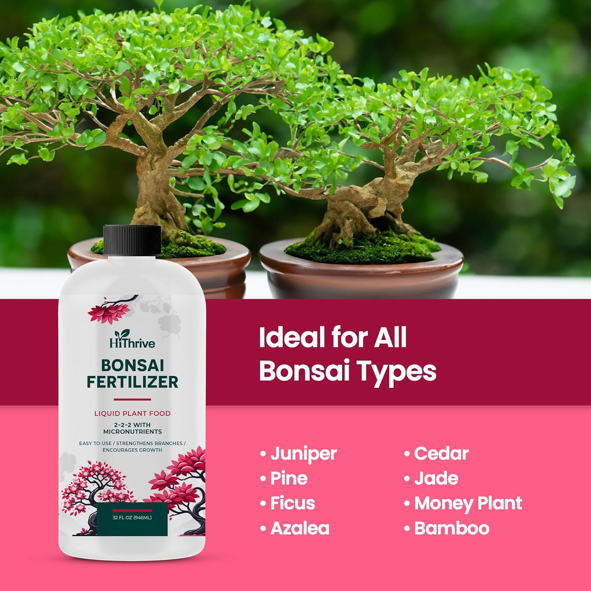 32oz Bonsai Tree Live Liquid Plant Food - Makes 64 Gallons of Bonsai Fertilizer Liquid, Premium