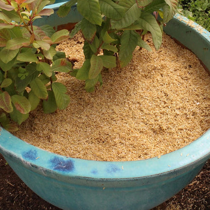 Sustainable Gardening Made Easy: Gardenera Rice Hulls - Harness The Power of Natural Mulch and
