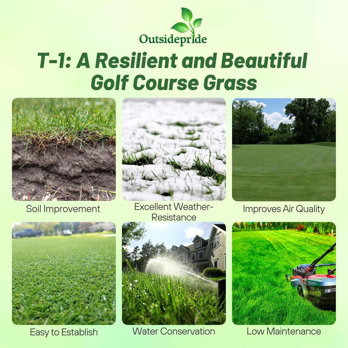 Outsidepride T-1 Creeping Bentgrass Seed - 5 lbs Fine-Bladed, Premium Quality Turf, Grass Seed for