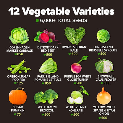 HOME GROWN 12 Fall Vegetable Seeds 6,000+ 𝗨𝗦𝗔 Heirloom 𝗡𝗢𝗡-𝗚𝗠𝗢 Seeds for Fall & Winter