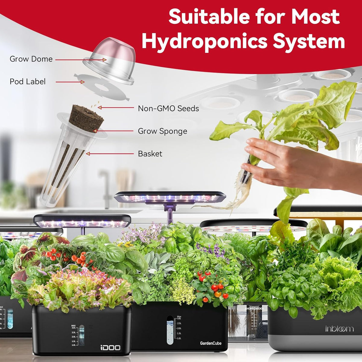 inbloom Fruit Seed Pod Kit for AeroGarden, Ahopegarden Hydroponics Growing System, 7-Pods (350