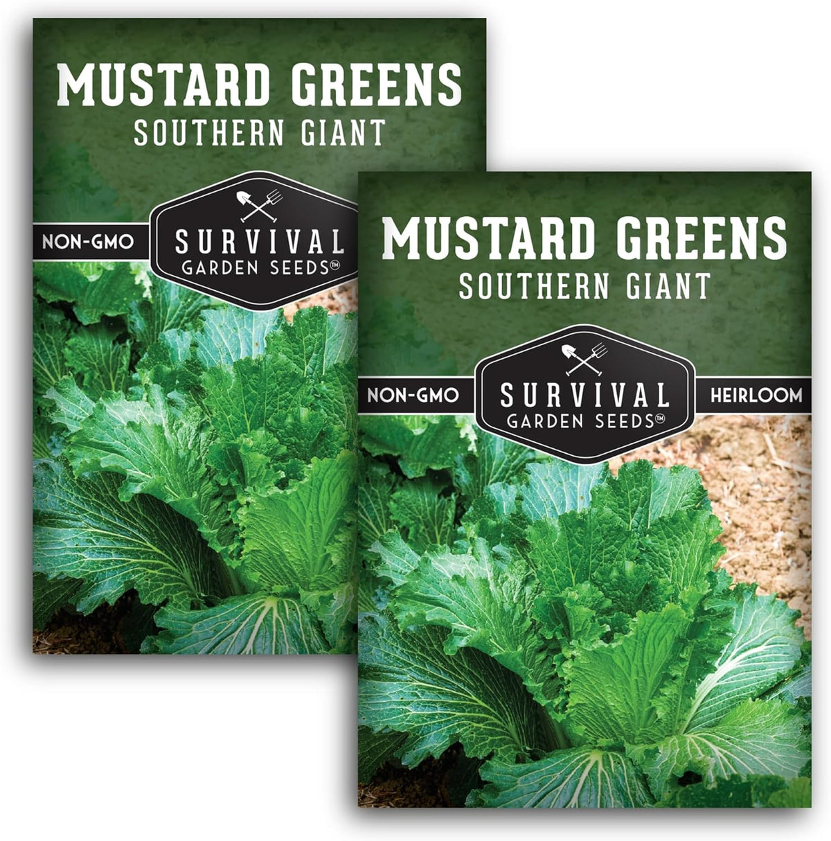 Southern Giant Mustard Green Seeds for Planting – Heirloom Non-GMO Spicy Greens, Heat Tolerant and