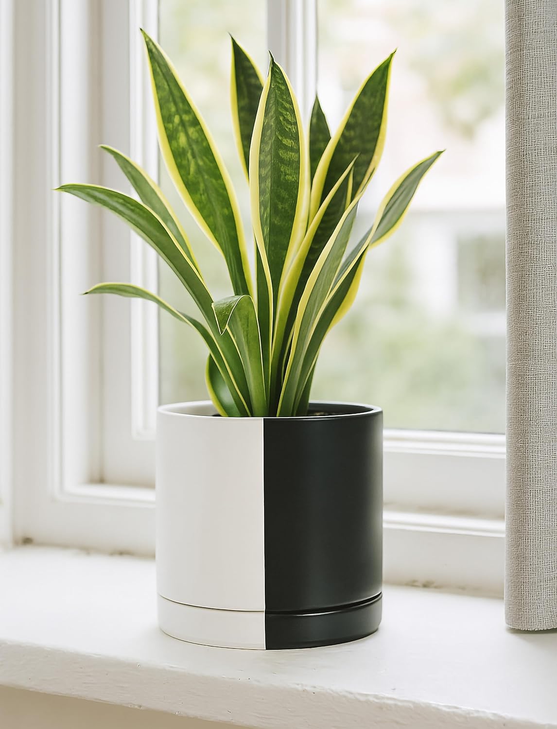 D'vine Dev 8.2 Inch Ceramic Planter Pot with Drainage Hole and Saucer, Indoor Cylinder Round