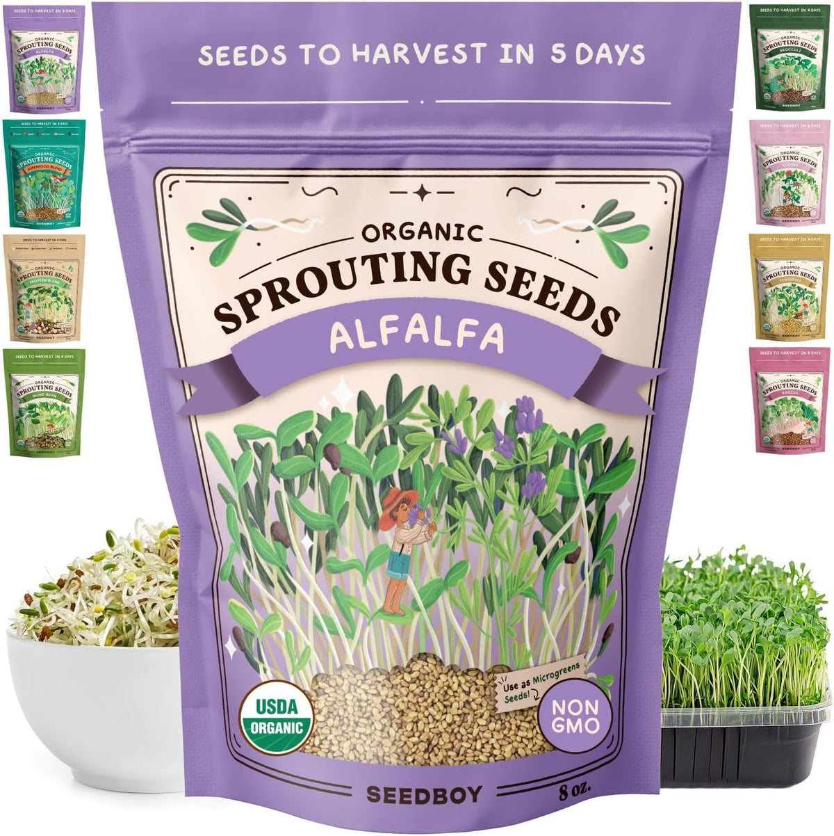 Seedboy Organic Non-GMO Alfalfa Seeds for Sprouting - Microgreens Sprouting Seeds - 8 oz Bag Makes