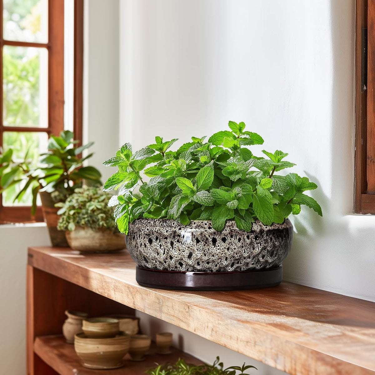 Succulent Pots 10 Inch - Ceramic Bonsai Pots with Drainage Hole and Tray, Large Succulent Planters
