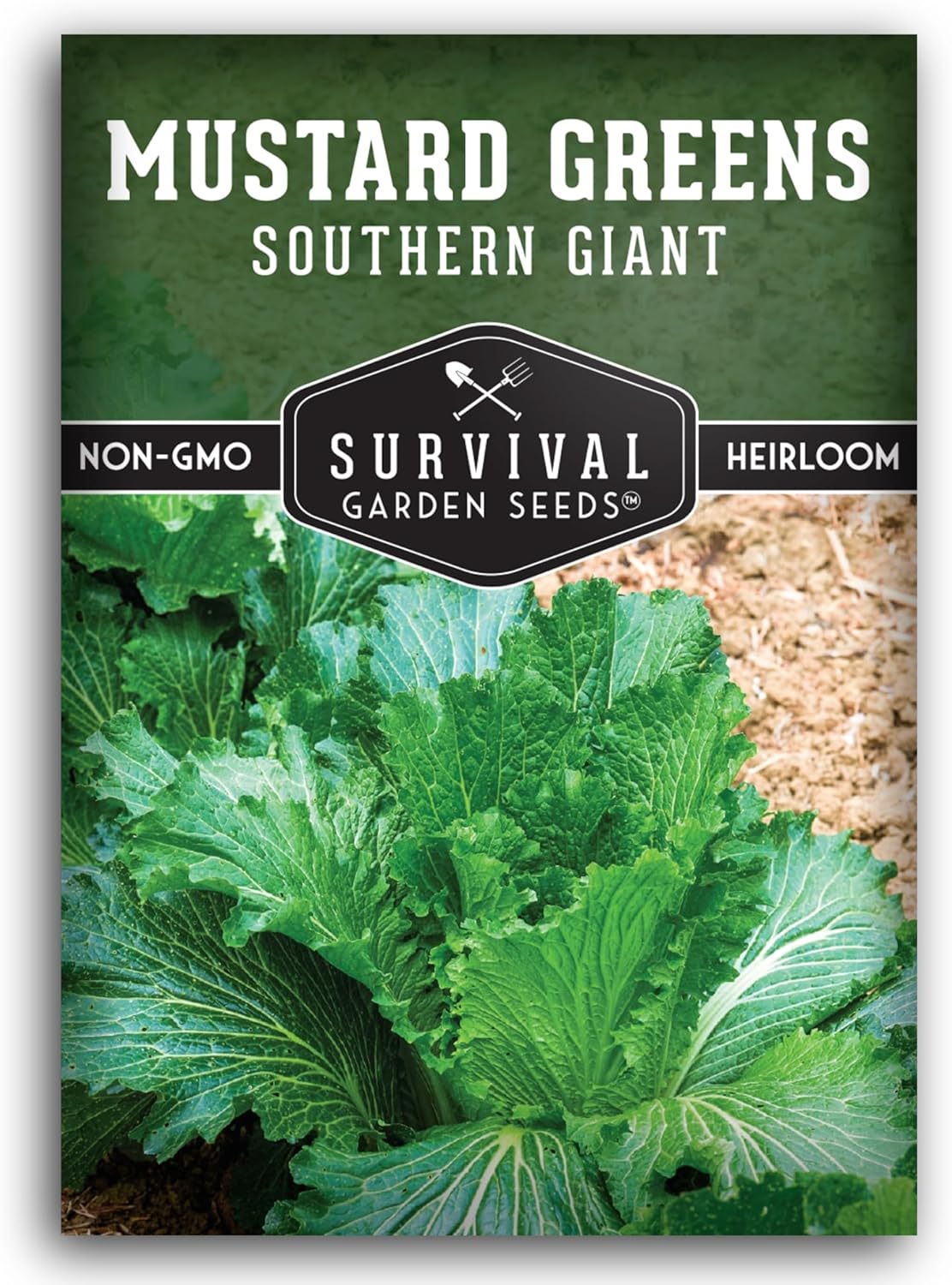 Southern Giant Mustard Green Seeds for Planting – Heirloom Non-GMO Spicy Greens, Heat Tolerant and