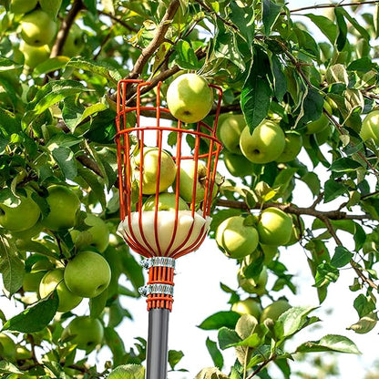Walensee 8FT Fruit Picker, Adjustable Fruits Picker Tool with Lightweight Stainless Steel Pole and