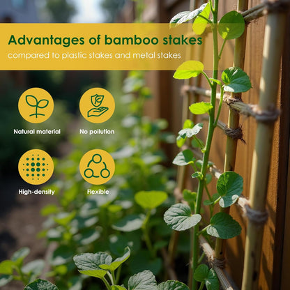 Bamboo Stakes, 50 Pack Bamboo Stakes 4ft, Natural Garden Stakes for Tomatoes and Climbing Plant