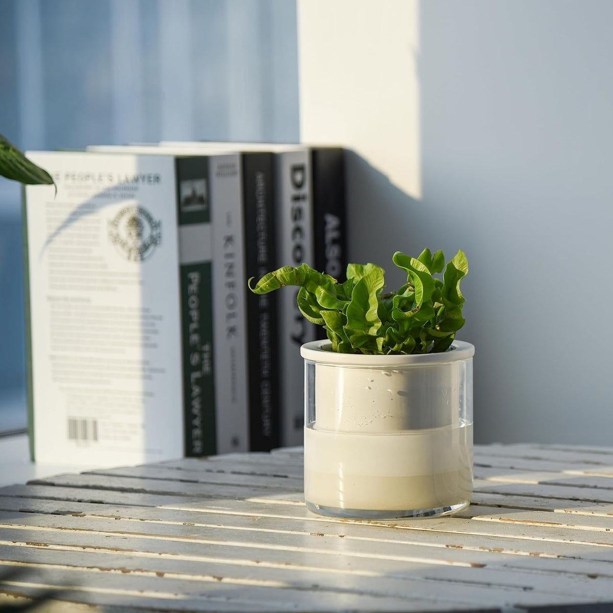 Phoenix Vine 4 Inch Self Watering Planter Pot, Design White Terracotta Pots for Plants, Indoor