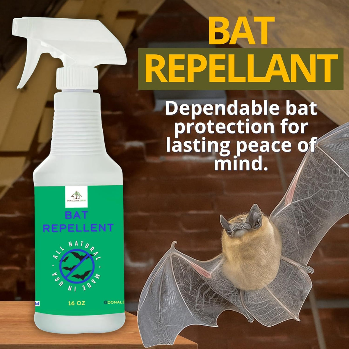 Bat Repellent Spray – Indoor and Outdoor Deterrent to Drive Bats Away from Nesting – Easy