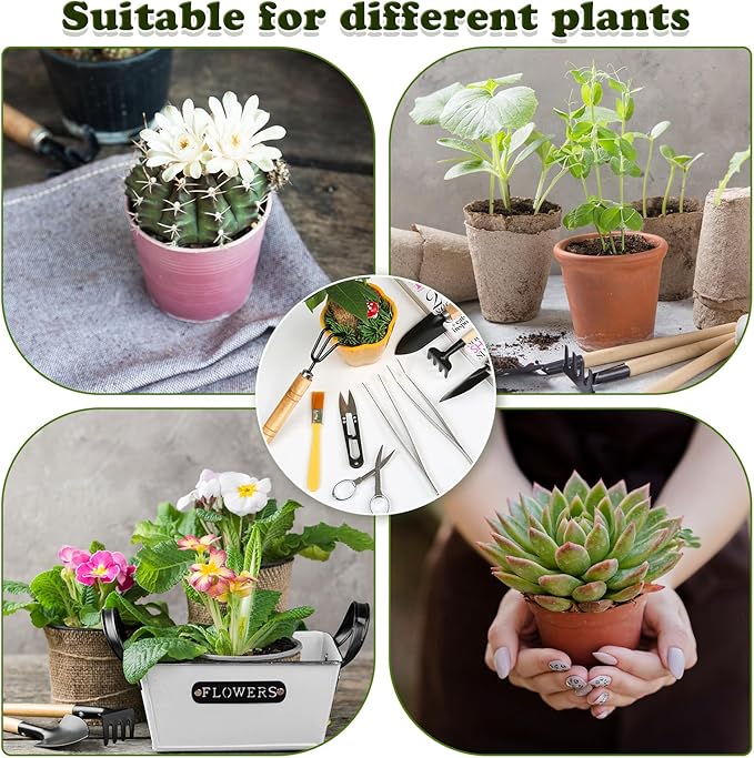 9 Piece Basic Bonsai Tools Set, Includes Pruning Shears, Mini Rake, Fold Scissors and More